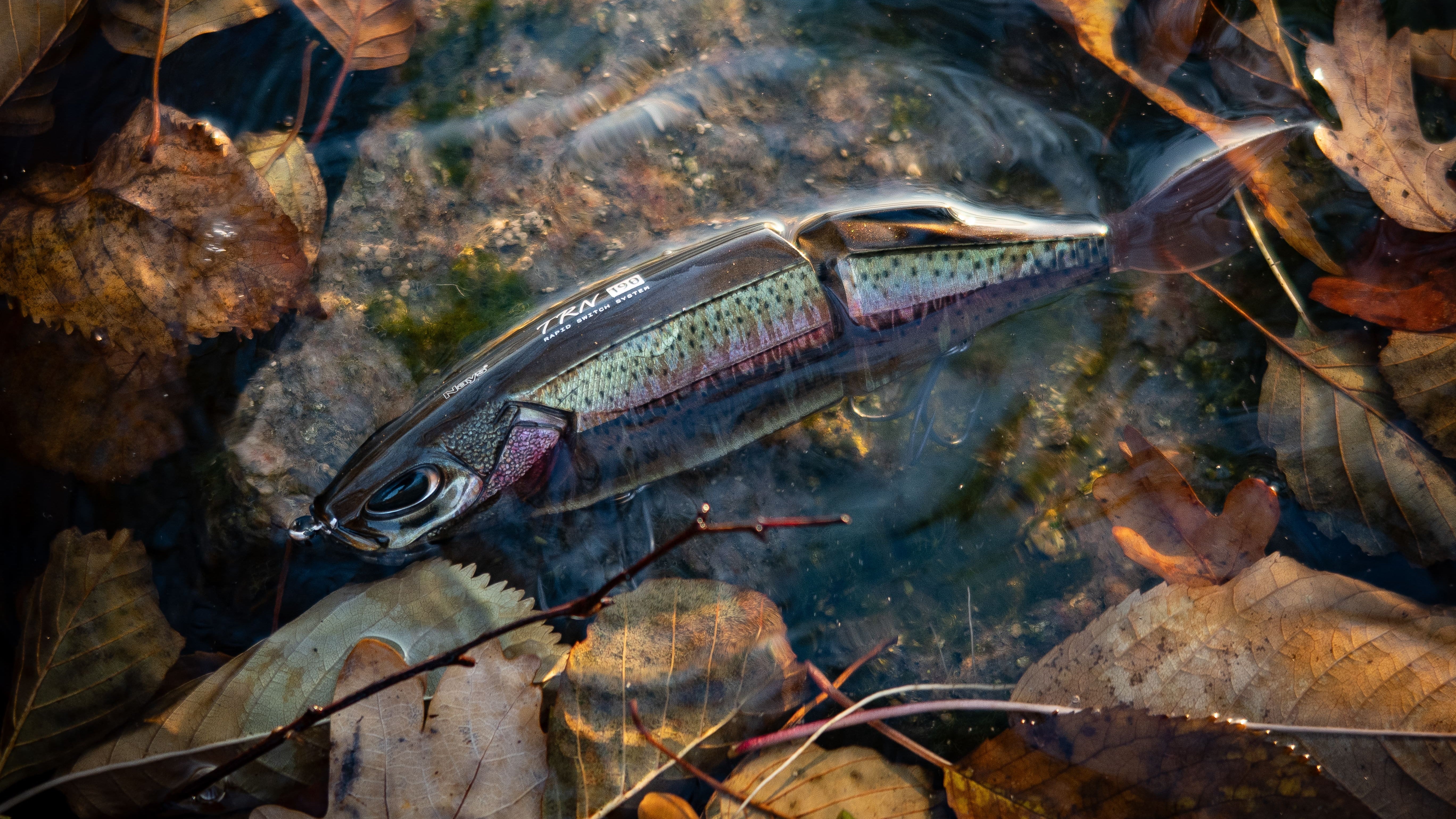 Swimbaits